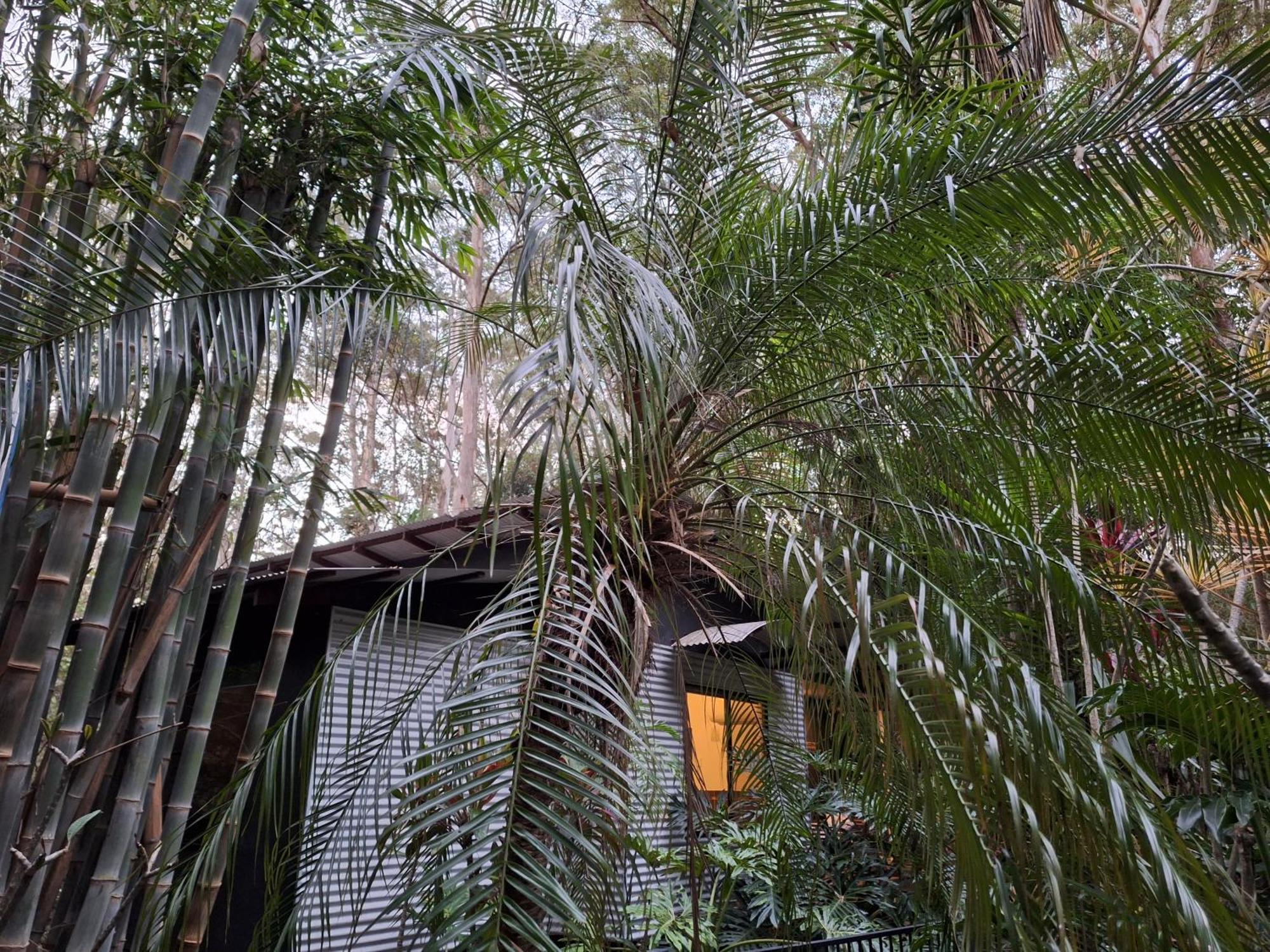 Bed and Breakfast Alaya Escape à Eudlo Extérieur photo