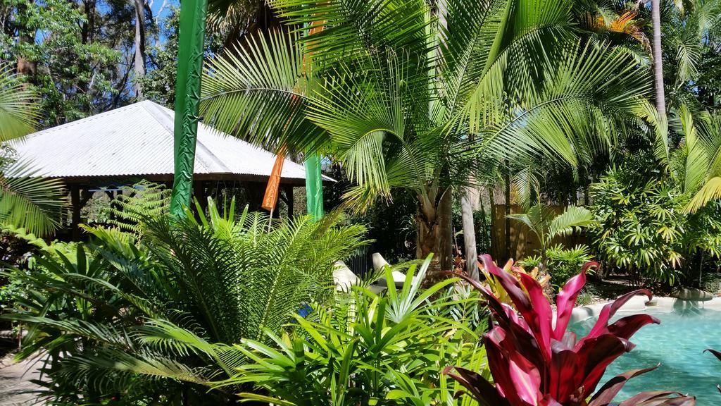Bed and Breakfast Alaya Escape à Eudlo Extérieur photo