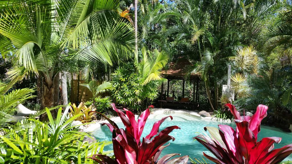 Bed and Breakfast Alaya Escape à Eudlo Extérieur photo